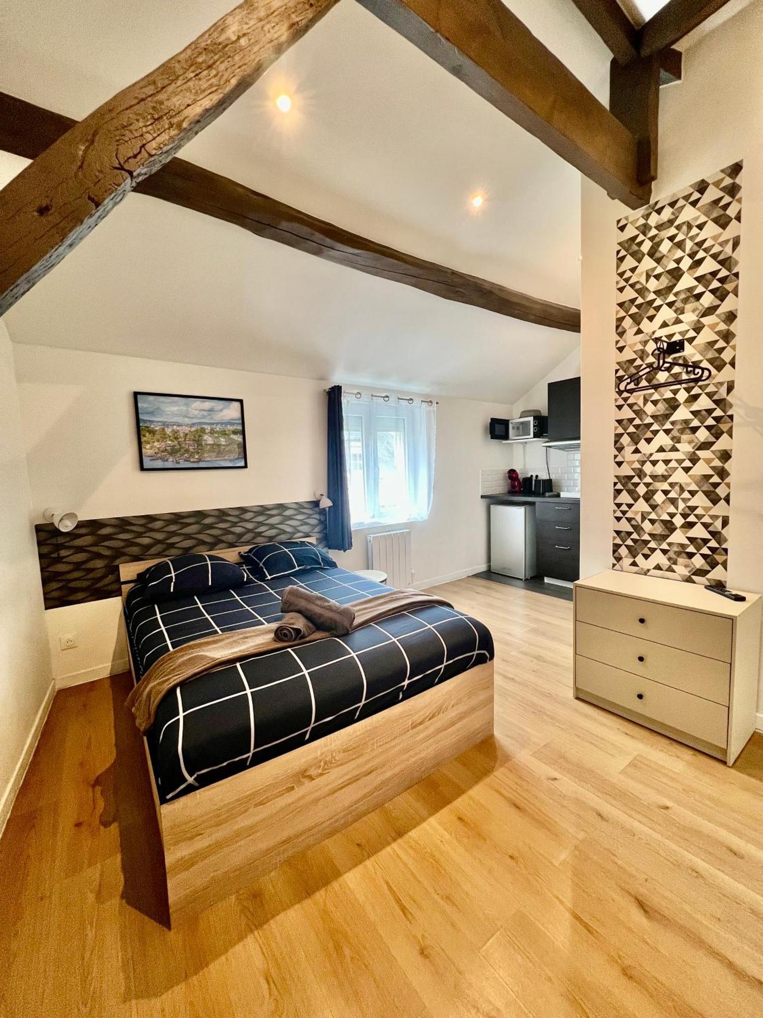 Studios Cozy Centre-Ville Châtellerault Buitenkant foto