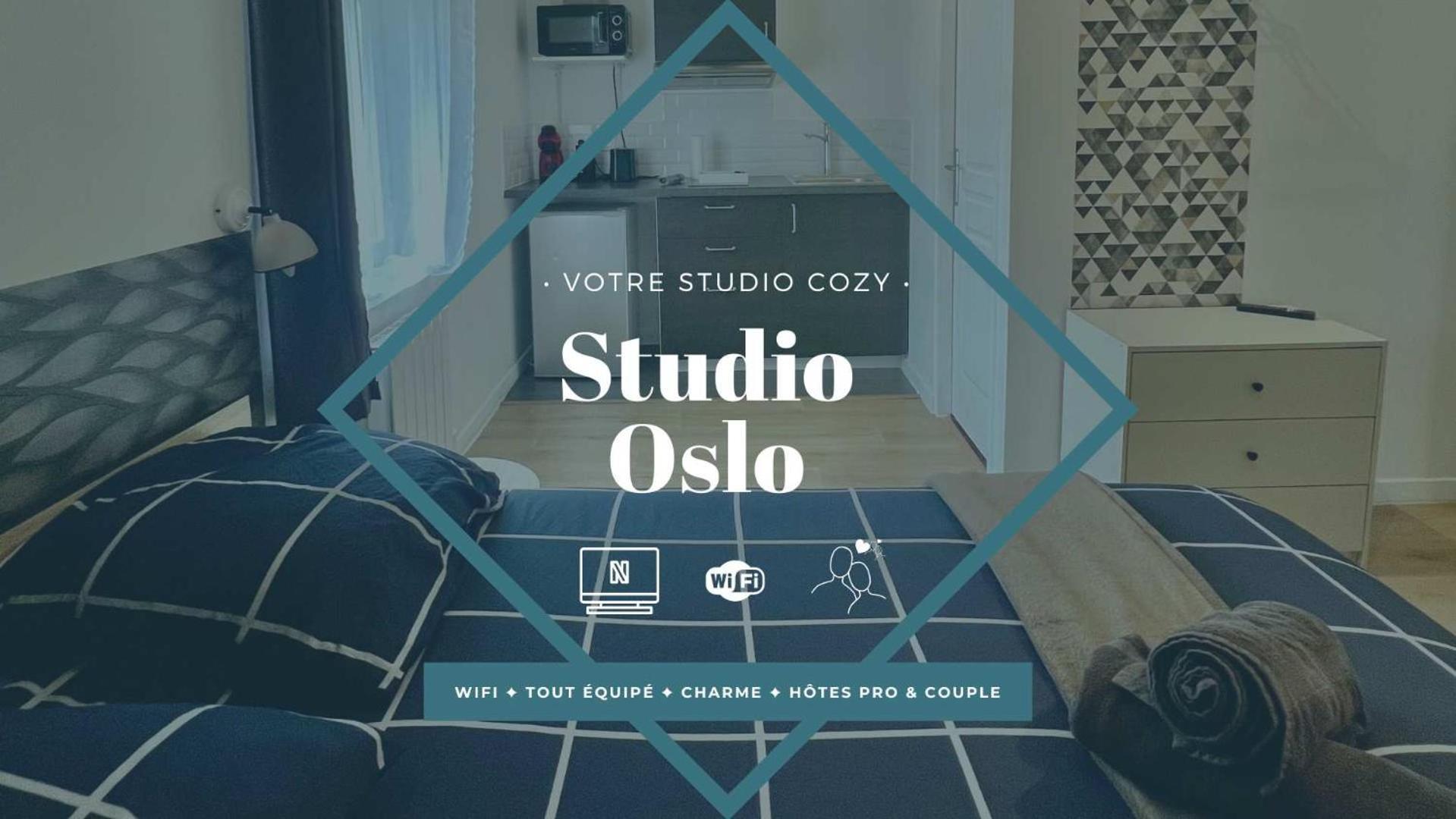 Studios Cozy Centre-Ville Châtellerault Buitenkant foto